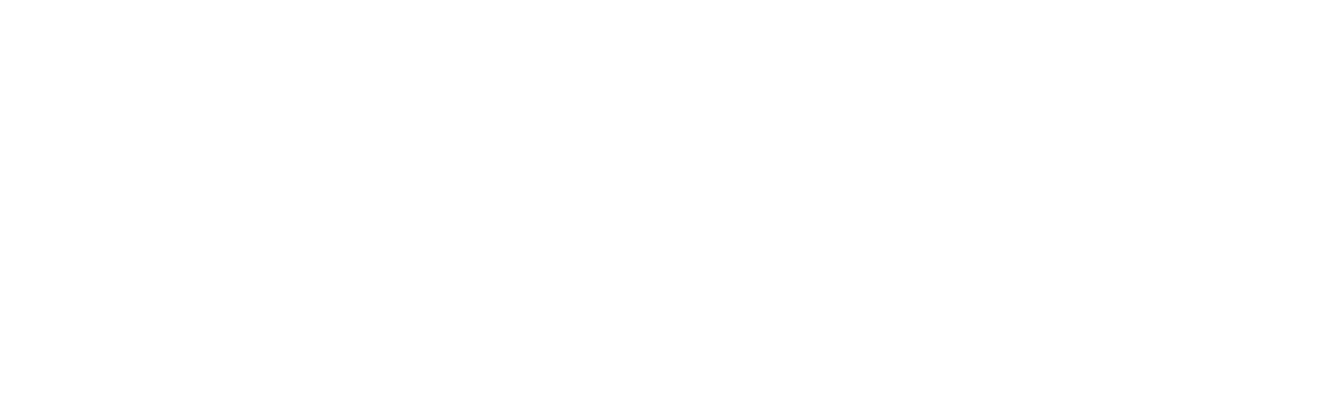 Maidenhead Progress Forum